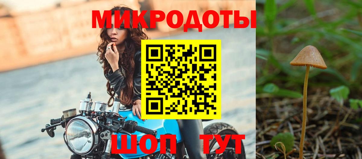 Родники  Псилоцибиновые грибы Psilocybine cubensis  Вход с VPN 